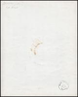 cca 1960 Domokos Zoltán csepeli fotóművésztől 2 db vintage fotó, az egyik feliratozott, 30x24 cm és ...