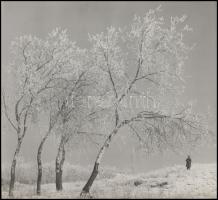 cca 1960 Domokos Zoltán csepeli fotóművésztől 2 db vintage fotó, az egyik feliratozott, 30x24 cm és ...