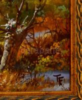 Temesvári Ferenc (1960-): Nyugalom. Olaj, farost, jelzett, keretben, 24×30 cm