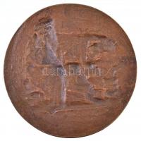 Ausztria DN Idős, filozófus férfit ábrázoló Br plakett. Szign.: St. Schwartz (122mm) T:2
Austria ND...