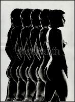 cca 1977 Trükkfotó, vintage negatív és vintage pozitív kép, 40x30 cm