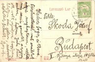 Fenyőháza, Lubochna; nyaralók háttérben a Jaiser Villa / villas