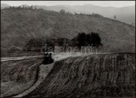 cca 1973 Zsigri Oszkár (1933-?) budapesti fotóművész hagyatékából 2 db vintage fénykép, az egyik pecséttel jelzett, a másik kasírozva, 28,5x39,5 cm és 30x40 cm