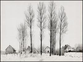 cca 1984 Zsigri Oszkár (1933-?) budapesti fotóművész hagyatékából 2 db vintage fénykép, az egyik fel...