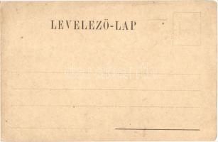 Pozsony, Pressburg, Bratislava; Mihálykapu utca, magyar zászló, Schwarz Testvérek üzlete / Michaeler...