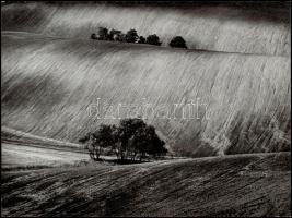 cca 1973 Gebhardt György (1910-1993) budapesti fotóművész hagyatékából 2 db vintage fénykép, felirat...