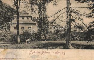 Gösting, Schloss Attems. L. Strohschneider / castle (b)