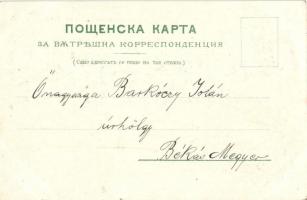 Sofia, Sophia; Boulevard Queen Maria Louisa, Ferdinand I of Bulgaria. Art Nouveau, floral