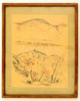 Mednyánszky jelzéssel: Dombos táj. Ceruza, papír, üvegezett keretben, 30×25 cm