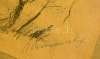 Mednyánszky jelzéssel: Dombos táj. Ceruza, papír, üvegezett keretben, 30×25 cm