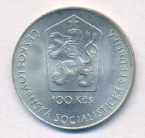 Csehszlovákia 1981. 100K Ag "Űrutazás" T:1-
Czechslovakia 1981. 100 Korun Ag "Manned...