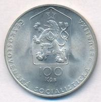 Csehszlovákia 1983. 100K Ag "Jaroslav Hasek születésének 100. évfordulója" T:1- 
Czechosl...