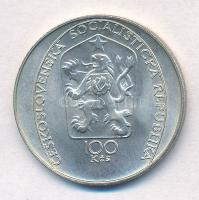 Csehszlovákia 1985. 100K Ag "Petr Brandl halálának 250. évfordulója" T:1 
Czechslovakia 1...