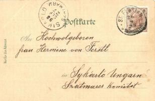 1898 (Vorläufer) Sankt Florian, Zillys Burg, Stiegen Haus, Schloss Hohenbrunn / castles and villa. K...