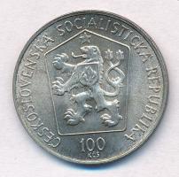 Csehszlovákia 1985. 100K Ag "125 éve született Martin Kukucin" T:1- patina
Czechoslovakia...