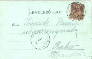 1902 Debrecen, Kossuth utca este. Csokonai Nyomda kiadványa, Art Nouveau litho (EK)