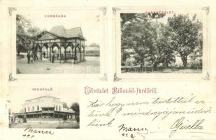 Bikszád-fürdő, Baile Bixad; források, park, vendéglő / springs, park, restaurant