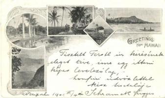 1901 Hawaii, Native Grass Hut, Diamond Head, Oahu railway, locomotive, Lily pond, view from Pali. Art Nouveau (EK)