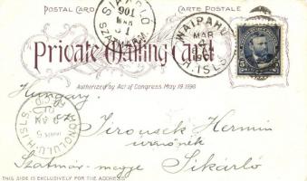 1901 Hawaii, Native Grass Hut, Diamond Head, Oahu railway, locomotive, Lily pond, view from Pali. Ar...