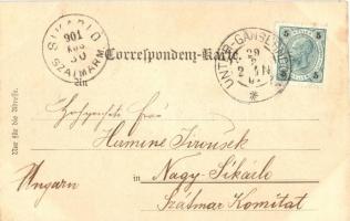 Gänserndorf, Johann Prohaska's Fleischhauerei und Einkehrgasthaus / butcher shop and guest hous...