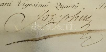 1788 II. József kinevezi Ritzinger György (?-?) pozsonyi (1786-1788 k.), később esztergomi kanonokot...