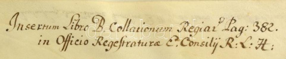 1788 II. József kinevezi Ritzinger György (?-?) pozsonyi (1786-1788 k.), később esztergomi kanonokot...