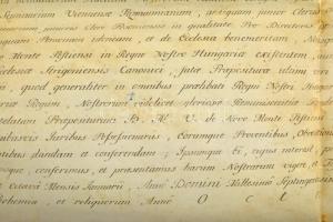 1788 II. József kinevezi Ritzinger György (?-?) pozsonyi (1786-1788 k.), később esztergomi kanonokot...