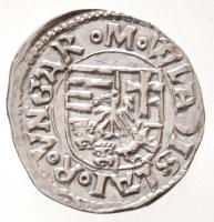 1498-1503K-h Denár Ag "II. Ulászló" (0,5g) T1-,2
Hungary 1498-1503K-H Denár Ag "Wlad...