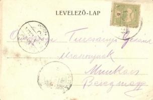 9 db RÉGI magyarországi városképes lap; Parádfürdő, Balaton, Eger, Diósjenő, Mátyásföld. Jó minőség ...