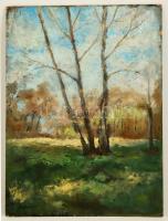 Bosznay jelzéssel: Kopár fák. Olaj, karton, sérült, 63×46 cm