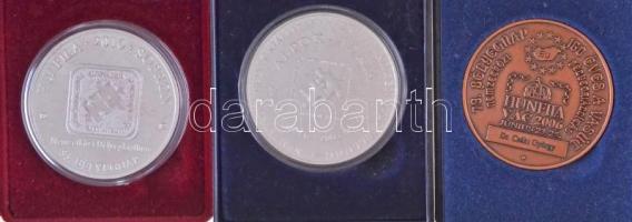 2003. "Alpok-Adria Nemzetközi Bélyegkiállítás - Zalaegerszeg" fém emlékérem, eredeti, sérü...