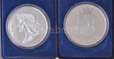 2003. "Alpok-Adria Nemzetközi Bélyegkiállítás - Zalaegerszeg" fém emlékérem, eredeti, sérü...