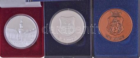 2003. "Alpok-Adria Nemzetközi Bélyegkiállítás - Zalaegerszeg" fém emlékérem, eredeti, sérü...