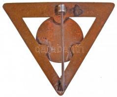 ~1950. "Magyar Természetbarát Szövetség - Túravezető" zománcozott fém jelvény (35x42mm) T:...