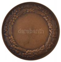 Berán Lajos (1882-1943) 1933. "TESZ-Nemzeti Munkahét" Br emlékérem (60mm) T:2