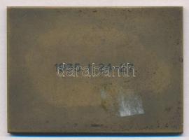 Berán Lajos (1882-1943) 1935. "Magyar Sí Szövetség / 1935. I. 24-27." Br plakett (56x40mm)...