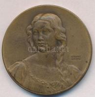 Berán Lajos (1882-1943) 1931. "Budapesti emlék" Br emlékérem (40mm) T:2