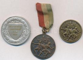 Berán Lajos (1882-1943) 1934. "Budapesti (Budai) Torna Egylet 1869 - Botond / Bély-Demény csapa...