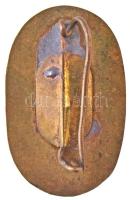 ~1960-1970. "Fővárosi Szabó Ervin Könyvtár - Törzsgárda" zománcozott jelvény (19x30mm) T:1...