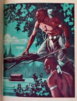 [Cooper, James Fenimore:] A nagy indiánus-könyv. Cooper összes Bőrharisnya-története. Bp., é. n., Hu...
