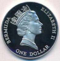 Bermuda 1997. 1$ Ag "Bermudai szkink" T:PP
Bermudan 1997. 1 Dollar "Bermuda Rock Ski...
