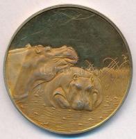Dél-Afrika 1976-1978. 50 éves Wildlife Society jelzett, aranyozott Ag emlékérem (37,43g/0.925/45mm) T:2(PP) South Africa 1976-1978. Wildlife Society 50th Anniversary hallamarked, gilt Ag commemorative medal (37,43g/0.925/45mm) C:XF(PP)
