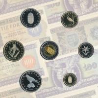 2006. 1Ft-100Ft (8xklf) forgalmi sor szettben, benne 1946-os 1Ft Ag "Hatvanéves a Forint" ...