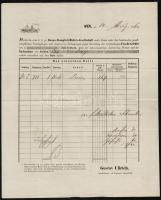 1860 DDSG fuvarlevél/ bil of lading ,,HAINBURG" - Ofen