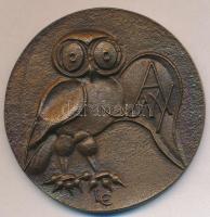 Ligeti Erika (1934-) 1986. "425 éves a debreceni nyomdászat" Br plakett (65mm) T:1-,2