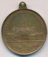 1891. Bellusi Baross Gábor M. Kir. Keresked. Minister, a Kiállítás Védnöke / Kiállítási Emlék Temesv...