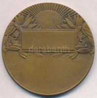 Franciaország DN Marianne-t, a Francia Köztársaság allegórikus nőalakját ábrázoló Br emlékplakett. S...