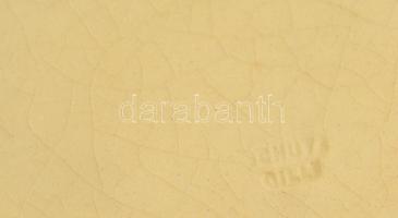 Schütz Cilli fajansz falitál, közepén gróf Migazzy Vilmos (1829-1896) felvidéki földbirtokos egész a...