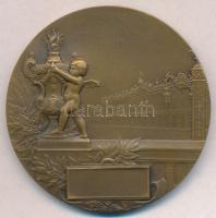 Franciaország ~1900. "Nancy városa" jelzett Br emlékplakett. Szign: Ernest Bussiere (50mm)...