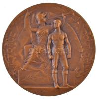 Franciaország DN "St. Raphael Quinquina által adományozva" jelzett Br emlékplakett, "...